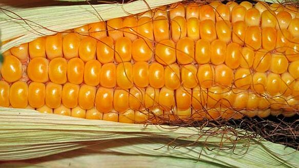 What not to eat on the keto diet